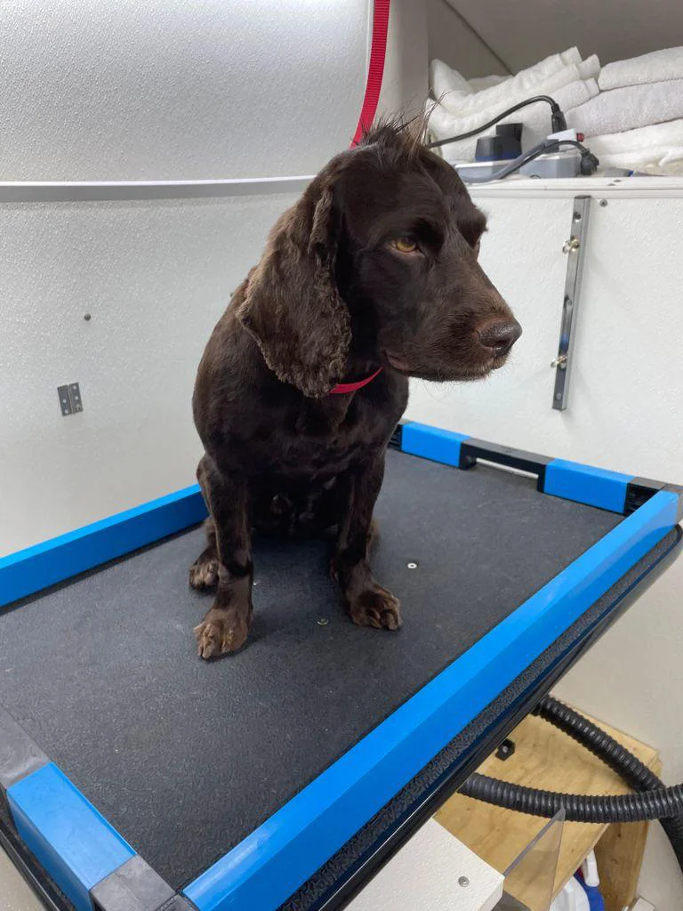 WhatsApp Image 2023-03-22 at 5.27.45 PM (2)