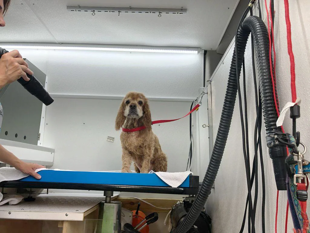 Satisfied Customer - Mobile Pet Salon Our product The Dogs Frame in Use - Mobile Pet Salon